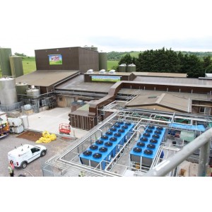 bluebox - Cheese Production Facility
